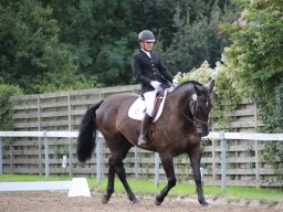 IMG_0384_web